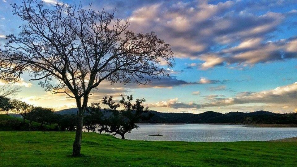 Finca La Vicacaria Limonero Zufre Buitenkant foto